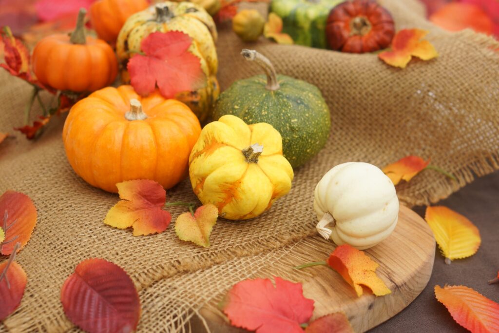 10月のノベルティにおすすめのグッズジャンルと人気のアイテム - ハロウィン