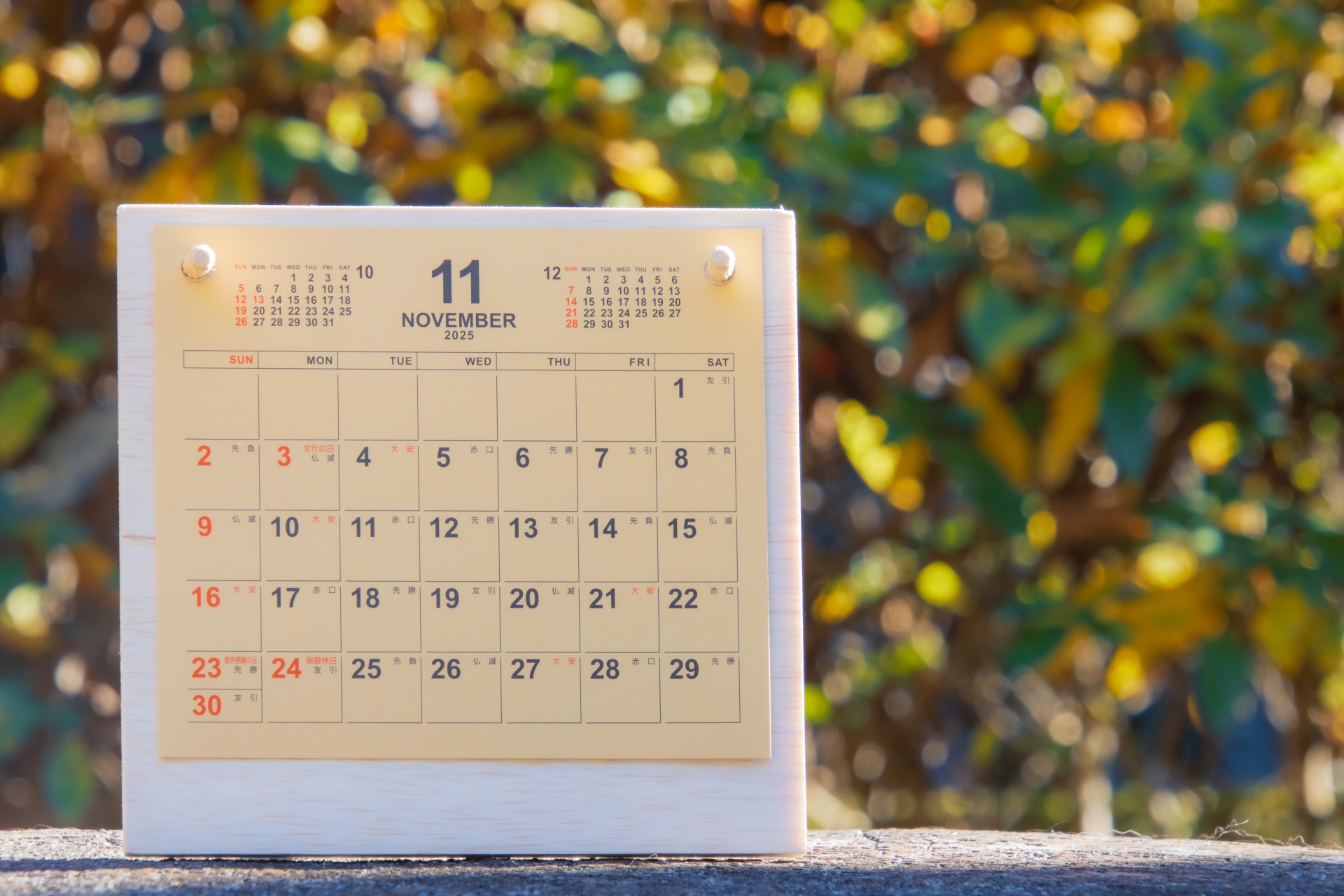 11月におすすめのノベルティ｜人気グッズや選び方のポイントを紹介