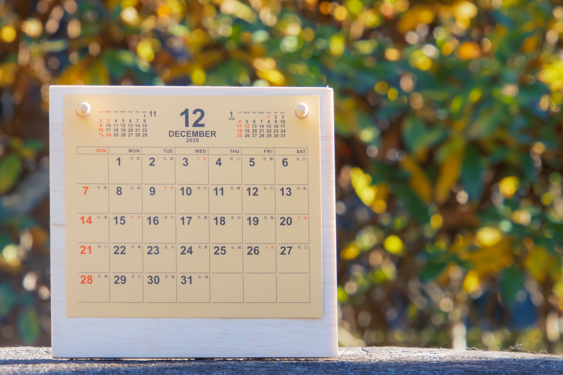 12月におすすめのノベルティ｜人気グッズや選び方のポイントを紹介